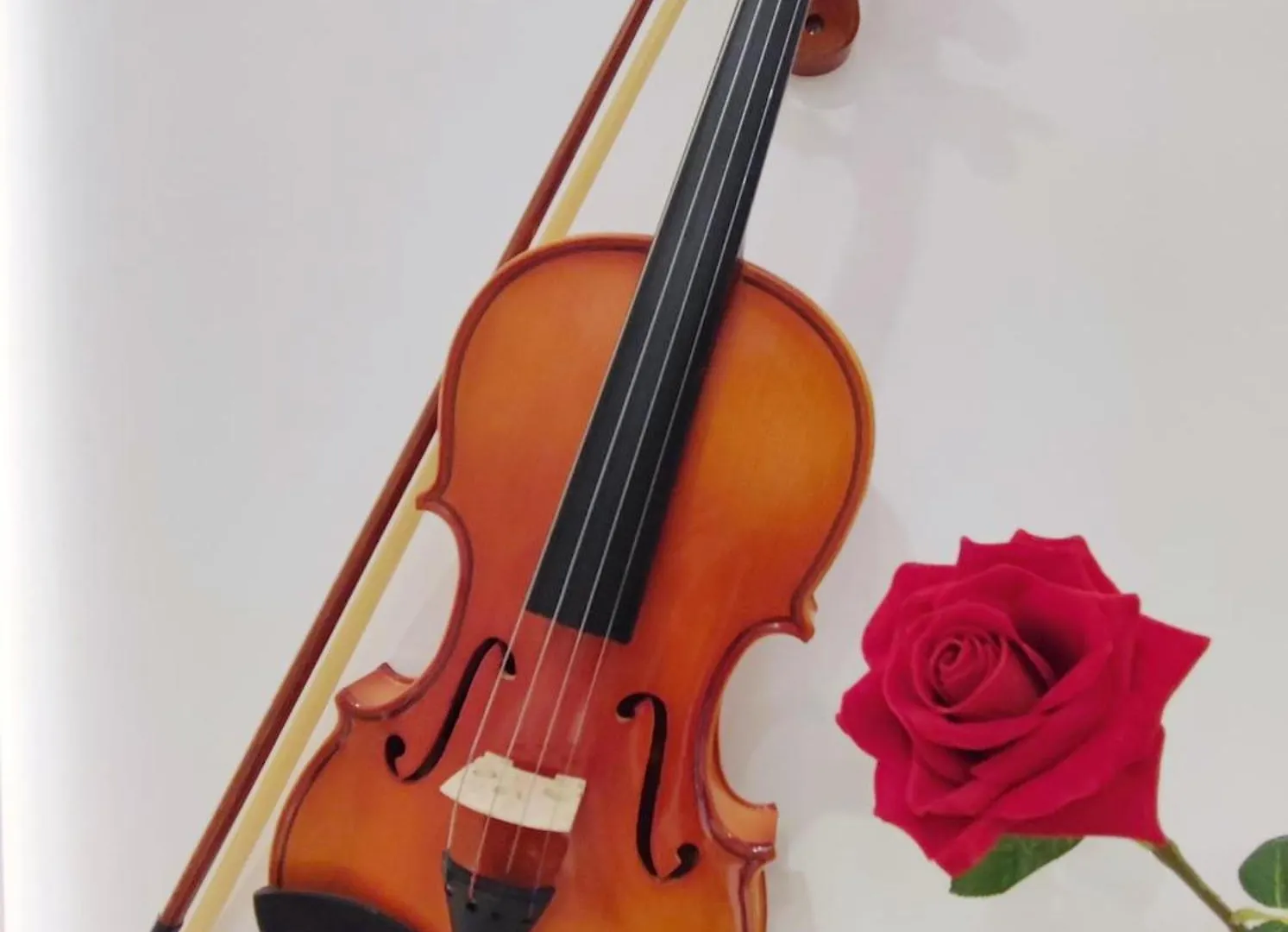 Arena Concert Concerto Love - Historic House Amorino At 